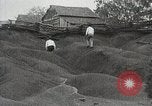 Image of Emergency Conservation Work members United States USA, 1933, second 9 stock footage video 65675023605
