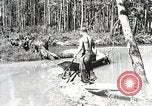 Image of Emergency Conservation Work members United States USA, 1933, second 27 stock footage video 65675023605