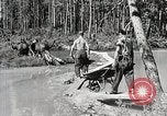 Image of Emergency Conservation Work members United States USA, 1933, second 30 stock footage video 65675023605