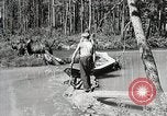 Image of Emergency Conservation Work members United States USA, 1933, second 31 stock footage video 65675023605