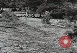 Image of Emergency Conservation Work members United States USA, 1933, second 39 stock footage video 65675023605