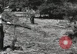 Image of Emergency Conservation Work members United States USA, 1933, second 40 stock footage video 65675023605