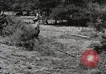 Image of Emergency Conservation Work members United States USA, 1933, second 46 stock footage video 65675023605