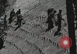 Image of Emergency Conservation Work members United States USA, 1933, second 47 stock footage video 65675023605
