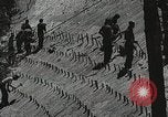 Image of Emergency Conservation Work members United States USA, 1933, second 49 stock footage video 65675023605