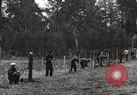 Image of Emergency Conservation Work members United States USA, 1933, second 35 stock footage video 65675023606