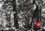 Image of Emergency Conservation Work members United States USA, 1933, second 43 stock footage video 65675023606