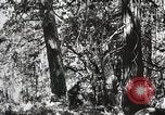 Image of Emergency Conservation Work members United States USA, 1933, second 44 stock footage video 65675023606