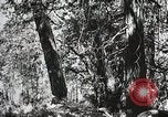 Image of Emergency Conservation Work members United States USA, 1933, second 45 stock footage video 65675023606