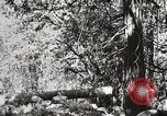 Image of Emergency Conservation Work members United States USA, 1933, second 49 stock footage video 65675023606