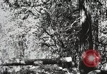 Image of Emergency Conservation Work members United States USA, 1933, second 50 stock footage video 65675023606