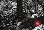 Image of Emergency Conservation Work members United States USA, 1933, second 52 stock footage video 65675023606