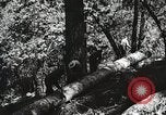 Image of Emergency Conservation Work members United States USA, 1933, second 53 stock footage video 65675023606