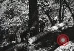 Image of Emergency Conservation Work members United States USA, 1933, second 54 stock footage video 65675023606