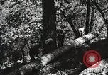 Image of Emergency Conservation Work members United States USA, 1933, second 55 stock footage video 65675023606