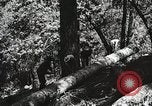 Image of Emergency Conservation Work members United States USA, 1933, second 56 stock footage video 65675023606