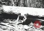 Image of Emergency Conservation Work members United States USA, 1933, second 57 stock footage video 65675023606