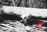 Image of Emergency Conservation Work members United States USA, 1933, second 58 stock footage video 65675023606