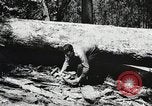 Image of Emergency Conservation Work members United States USA, 1933, second 59 stock footage video 65675023606