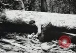 Image of Emergency Conservation Work members United States USA, 1933, second 60 stock footage video 65675023606