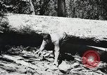 Image of Emergency Conservation Work members United States USA, 1933, second 61 stock footage video 65675023606