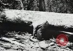 Image of Emergency Conservation Work members United States USA, 1933, second 62 stock footage video 65675023606