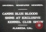 Image of Kennel club show Alameda California USA, 1931, second 1 stock footage video 65675023608