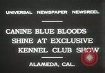 Image of Kennel club show Alameda California USA, 1931, second 3 stock footage video 65675023608