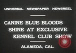 Image of Kennel club show Alameda California USA, 1931, second 5 stock footage video 65675023608