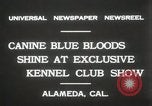 Image of Kennel club show Alameda California USA, 1931, second 7 stock footage video 65675023608