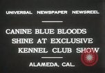 Image of Kennel club show Alameda California USA, 1931, second 8 stock footage video 65675023608