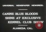 Image of Kennel club show Alameda California USA, 1931, second 9 stock footage video 65675023608