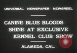 Image of Kennel club show Alameda California USA, 1931, second 10 stock footage video 65675023608