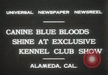 Image of Kennel club show Alameda California USA, 1931, second 11 stock footage video 65675023608