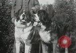 Image of Kennel club show Alameda California USA, 1931, second 12 stock footage video 65675023608