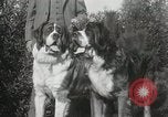 Image of Kennel club show Alameda California USA, 1931, second 13 stock footage video 65675023608