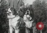 Image of Kennel club show Alameda California USA, 1931, second 14 stock footage video 65675023608