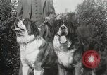 Image of Kennel club show Alameda California USA, 1931, second 15 stock footage video 65675023608