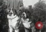 Image of Kennel club show Alameda California USA, 1931, second 17 stock footage video 65675023608