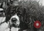 Image of Kennel club show Alameda California USA, 1931, second 19 stock footage video 65675023608