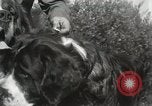 Image of Kennel club show Alameda California USA, 1931, second 20 stock footage video 65675023608