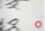 Image of Chinese protest against Japanese Chicago Illinois USA, 1931, second 56 stock footage video 65675023609