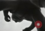 Image of man performs stunts on 9 months baby Los Angeles California USA, 1931, second 15 stock footage video 65675023610