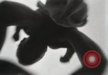 Image of man performs stunts on 9 months baby Los Angeles California USA, 1931, second 19 stock footage video 65675023610