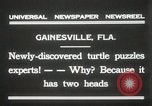 Immagine di Due tartaruga con testa Gainesville Florida USA, 1931, secondo 3 filmato di repertorio 65675023611