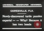 Immagine di Due tartaruga con testa Gainesville Florida USA, 1931, secondo 4 filmato di repertorio 65675023611