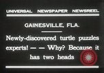 Immagine di Due tartaruga con testa Gainesville Florida USA, 1931, secondo 5 filmato di repertorio 65675023611
