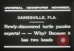 Immagine di Due tartaruga con testa Gainesville Florida USA, 1931, secondo 6 filmato di repertorio 65675023611