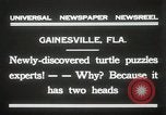 Immagine di Due tartaruga con testa Gainesville Florida USA, 1931, secondo 7 filmato di repertorio 65675023611