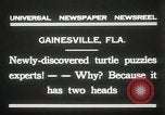 Immagine di Due tartaruga con testa Gainesville Florida USA, 1931, secondo 8 filmato di repertorio 65675023611